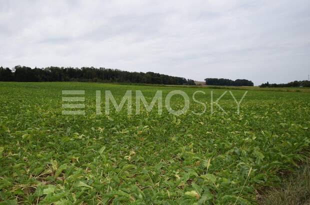 Grundstück kaufen in 4030 Linz (Bild 3)