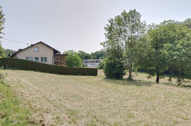 Grundstück kaufen in 4073 Wilhering (Bild 3)