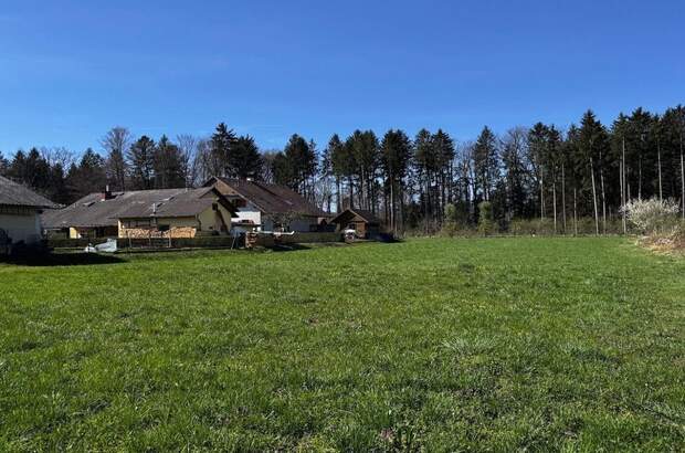 Grundstück kaufen in 8523 Frauental (Bild 5)