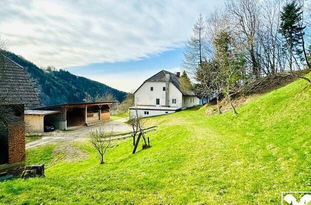 Haus kaufen in 9473 Lavamünd (Bild 4)