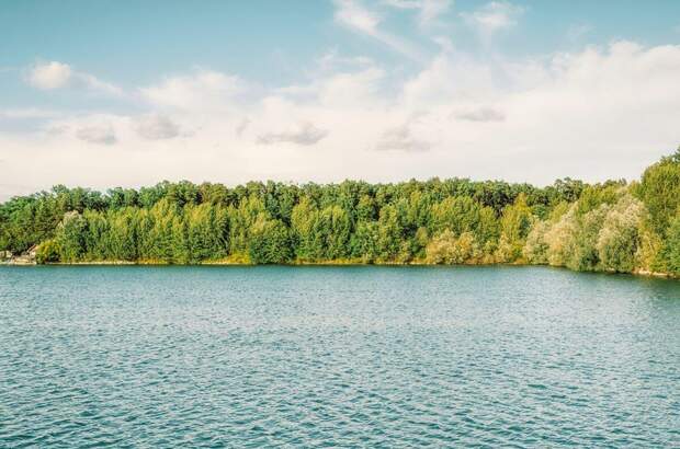 Grundstück kaufen in 8141 Premstätten (Bild 4)