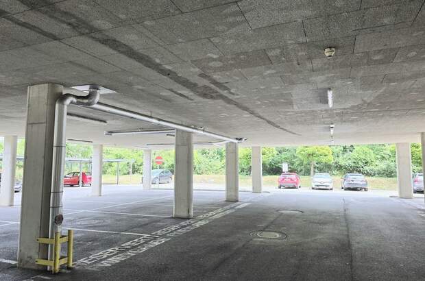 Gewerbeobjekt mieten in 8055 Graz (Bild 4)