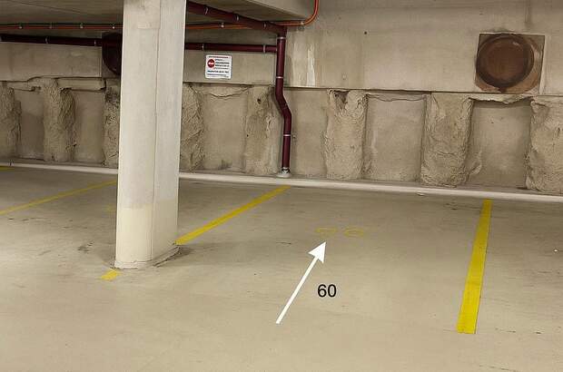 Halle / Lager / Produktion mieten in 4600 Wels (Bild 1)