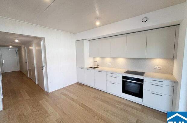 Terrassenwohnung mieten in 2340 Mödling (Bild 3)