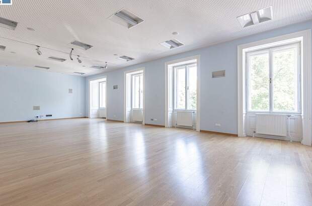 Gewerbeobjekt mieten in 1010 Wien (Bild 1)