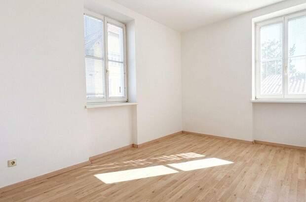 Altbauwohnung kaufen in 1230 Wien (Bild 1)