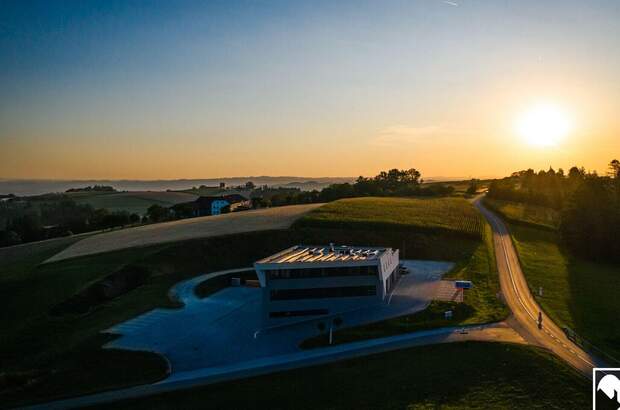 Gewerbeobjekt mieten in 4201 Gramastetten (Bild 4)