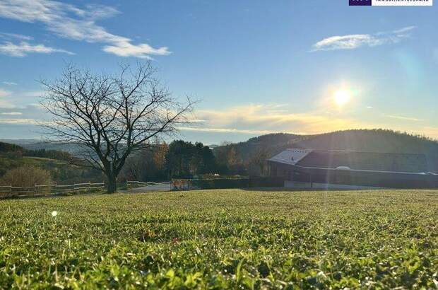 Grundstück kaufen in 8045 Weinitzen (Bild 2)