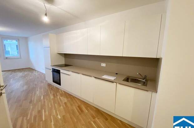 Terrassenwohnung mieten in 1100 Wien (Bild 3)