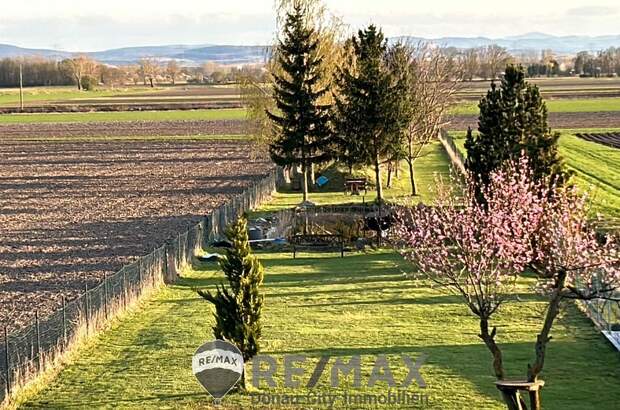Einfamilienhaus kaufen in 3464 Hausleiten (Bild 5)