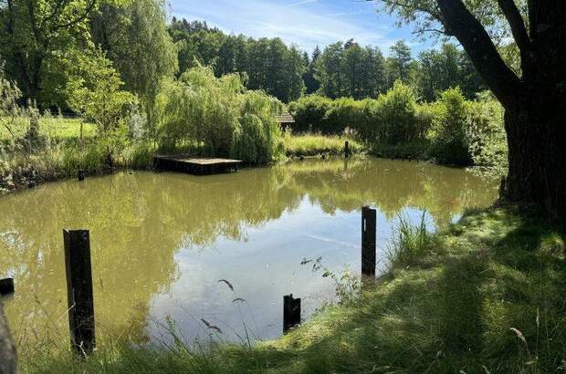 Grundstück kaufen in 8151 Hitzendorf (Bild 1)