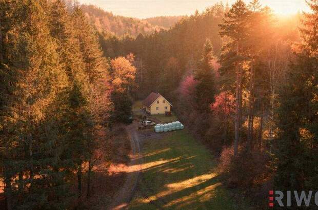 Einfamilienhaus kaufen in 2831 Warth (Bild 1)