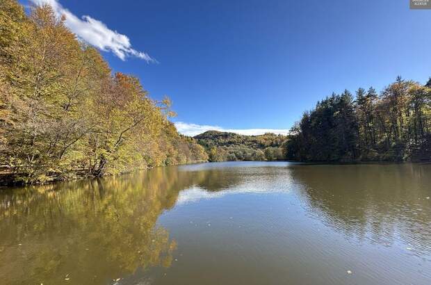 Haus mit Garten kaufen in 8051 Thal (Bild 1)