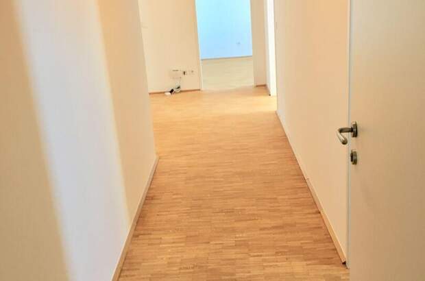 Altbauwohnung mieten in 4600 Wels (Bild 2)