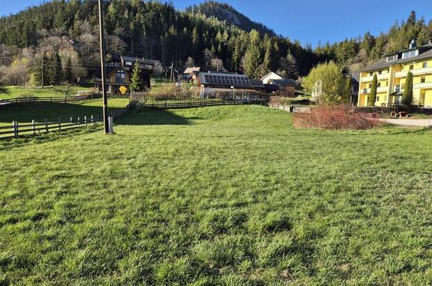 Grundstück kaufen in 8983 Bad Mitterndorf (Bild 4)