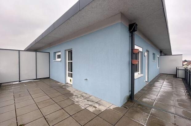 Wohnung mieten in 3133 Traismauer (Bild 5)