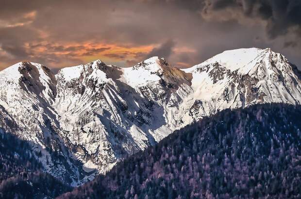 Grundstück kaufen in 9184 St. Jakob (Bild 4)