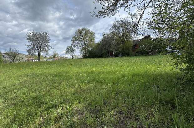 Grundstück kaufen in 4223 Bodendorf (Bild 4)