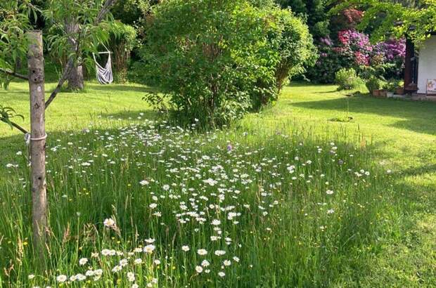 Haus kaufen in 9122 St. Kanzian (Bild 5)