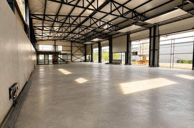 Gewerbeobjekt mieten in 4600 Thalheim (Bild 2)