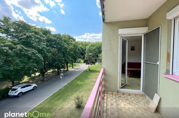 Terrassenwohnung kaufen in 2431 Kleinneusiedl (Bild 1)