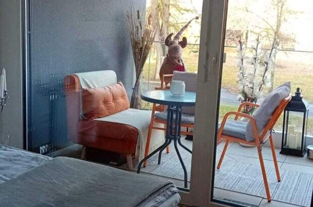 Wohnung mit Balkon mieten in 8280 Fürstenfeld (Bild 3)