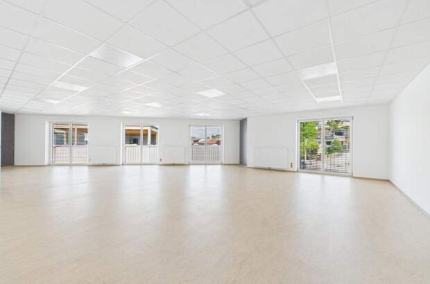 Gewerbeobjekt mieten in 4221 Steyregg (Bild 1)