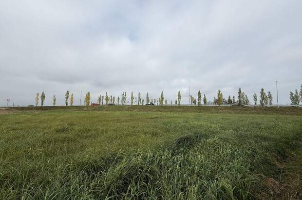 Gewerbeobjekt kaufen in 6971 Hard (Bild 4)