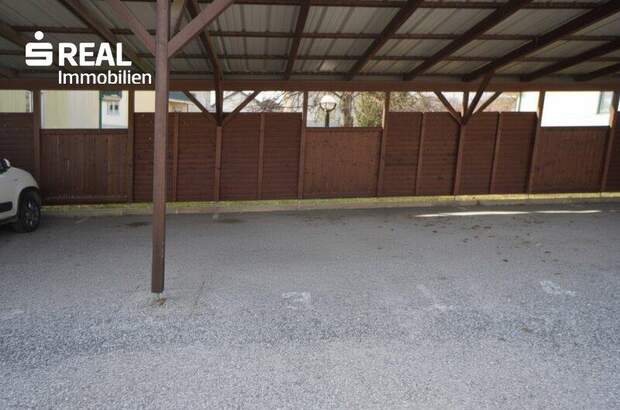 Terrassenwohnung kaufen in 3903 Echsenbach (Bild 3)