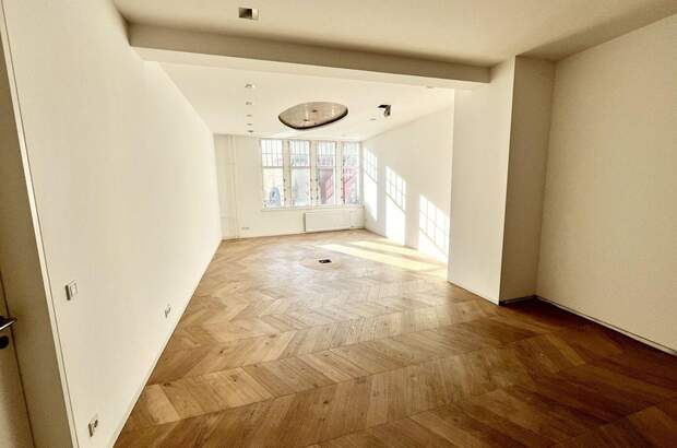 Gewerbeobjekt mieten in 1010 Wien (Bild 2)