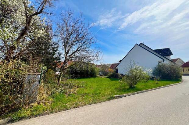 Grundstück kaufen in 2345 Brunn (Bild 2)