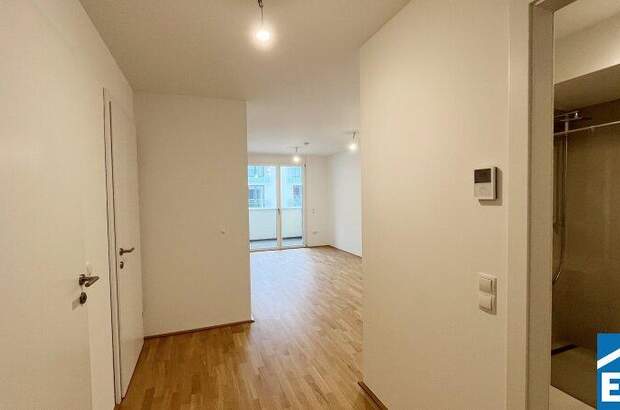 Terrassenwohnung kaufen in 1230 Wien (Bild 1)