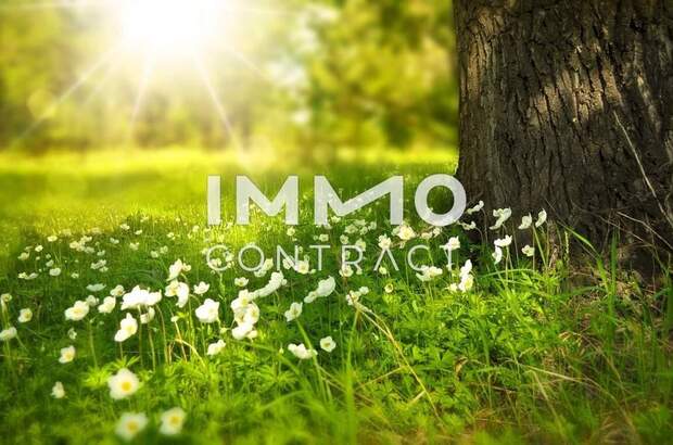 Grundstück kaufen in 7464 Markt Neuhodis