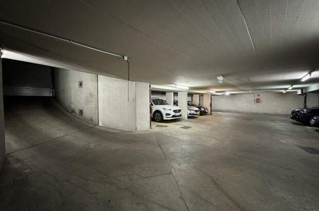 Halle / Lager / Produktion mieten in 1080 Wien (Bild 1)