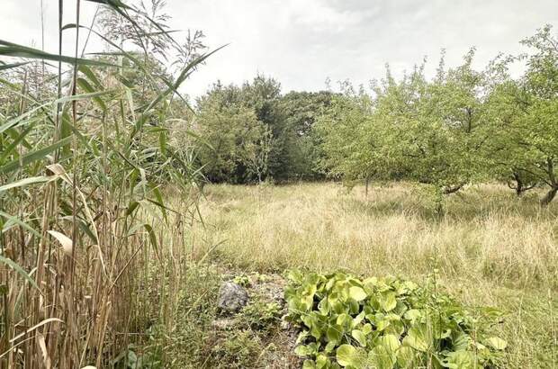 Grundstück kaufen in 2721 Bad Fischau (Bild 2)