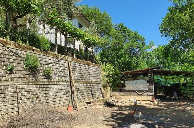 Haus kaufen in 54016 Ripola (Bild 3)