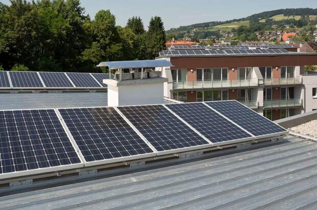 Wohnung mieten in 3270 Scheibbs (Bild 3)