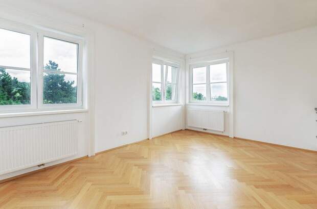 Altbauwohnung kaufen in 1130 Wien (Bild 1)
