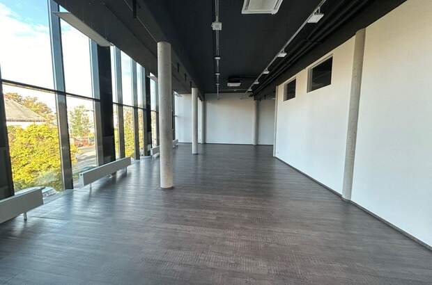 Gewerbeobjekt mieten in 8053 Graz (Bild 3)