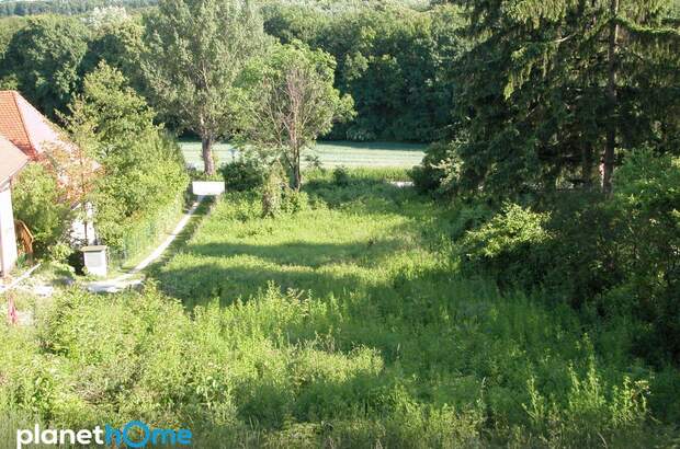 Grundstück kaufen in 2102 Hagenbrunn (Bild 2)