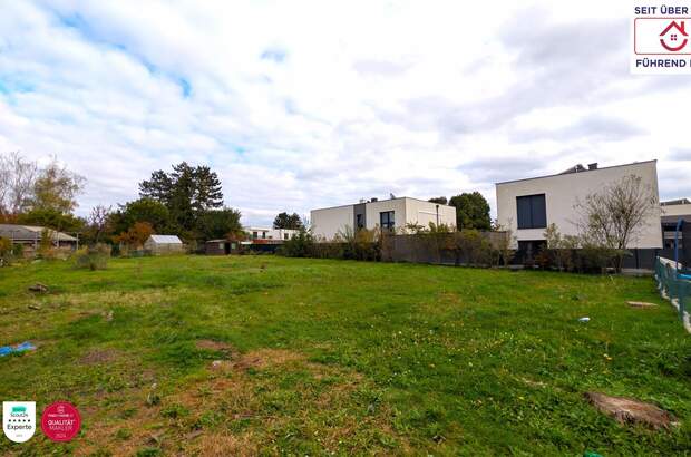 Grundstück kaufen in 2231 Strasshof (Bild 3)