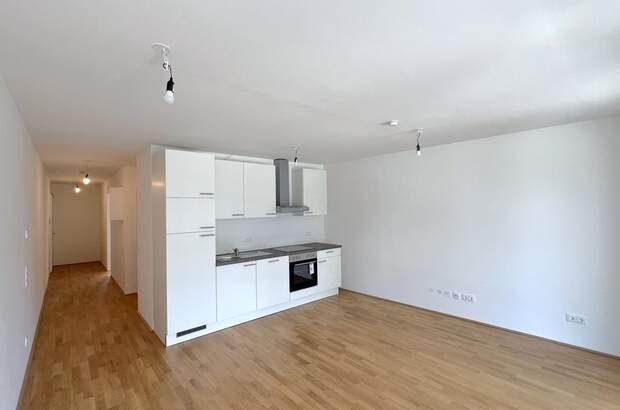 Terrassenwohnung mieten in 1110 Wien (Bild 3)