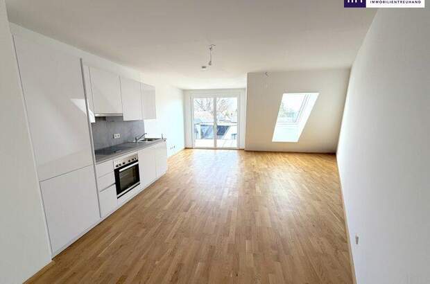 Terrassenwohnung kaufen in 1220 Wien (Bild 3)