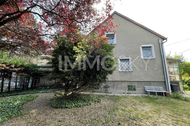 Einfamilienhaus kaufen in 1220 Wien (Bild 4)