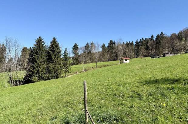 Gewerbeobjekt kaufen in 6850 Dornbirn (Bild 5)