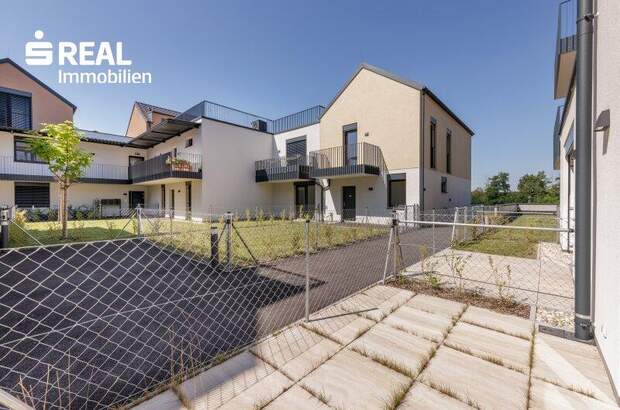 Terrassenwohnung mieten in 2020 Hollabrunn (Bild 1)