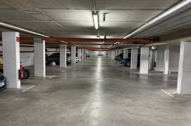 Halle / Lager / Produktion mieten in 2500 Baden (Bild 5)