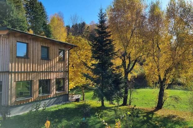 Einfamilienhaus kaufen in 3971 St. Martin (Bild 4)