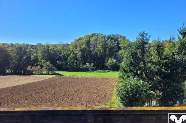 Grundstück kaufen in 4407 Dietach (Bild 3)