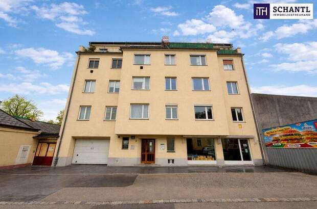 Wohnung mieten in 1130 Wien (Bild 3)